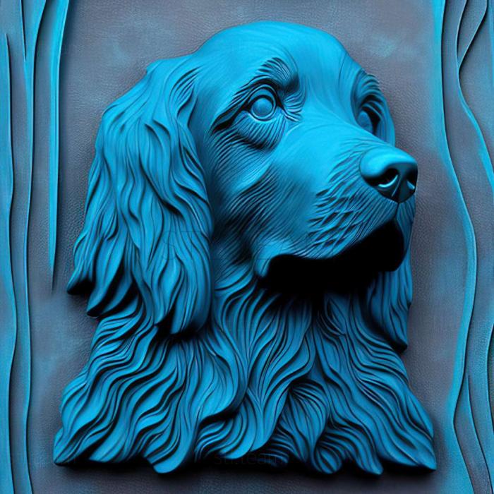 Animals Blue Picardy Spaniel dog